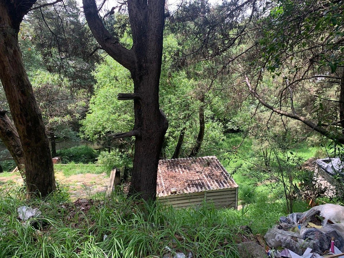 Terreno en San Bartolo Ameyalco, Álvaro Obregón, foto 16 de 18