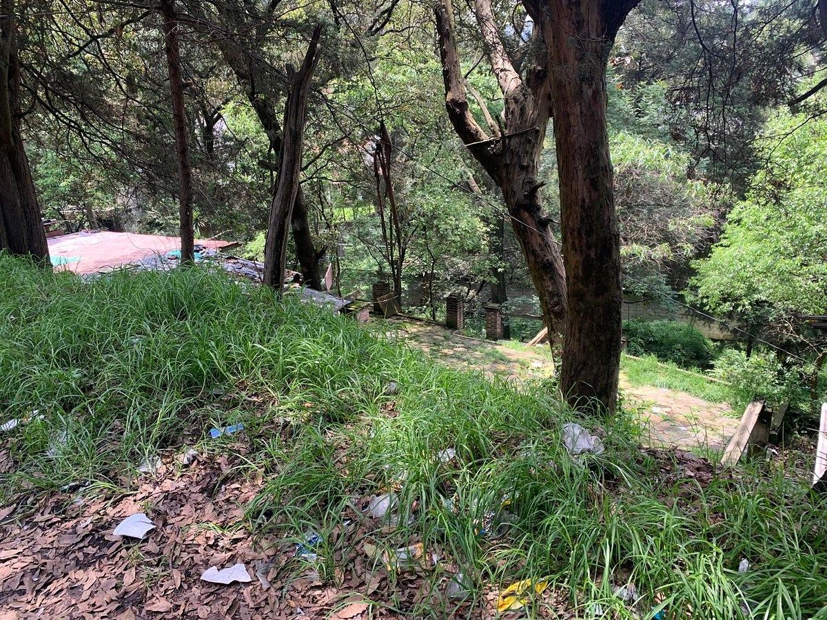 Terreno en San Bartolo Ameyalco, Álvaro Obregón, foto 17 de 18