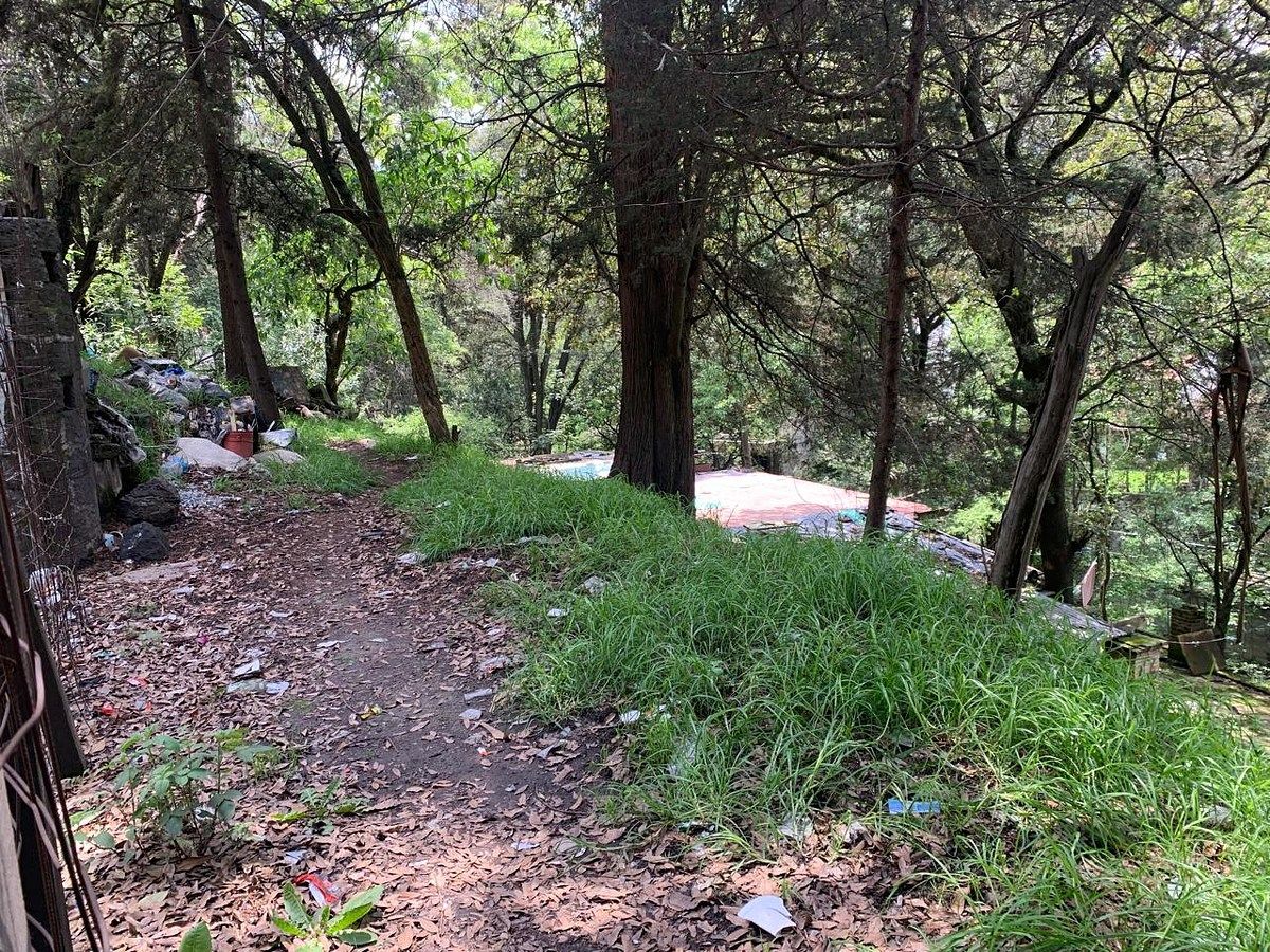 Terreno en San Bartolo Ameyalco, Álvaro Obregón, foto 18 de 18