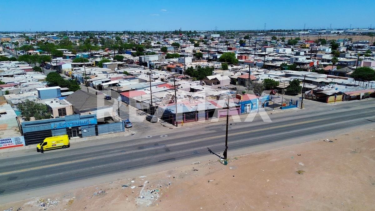 6 de 39