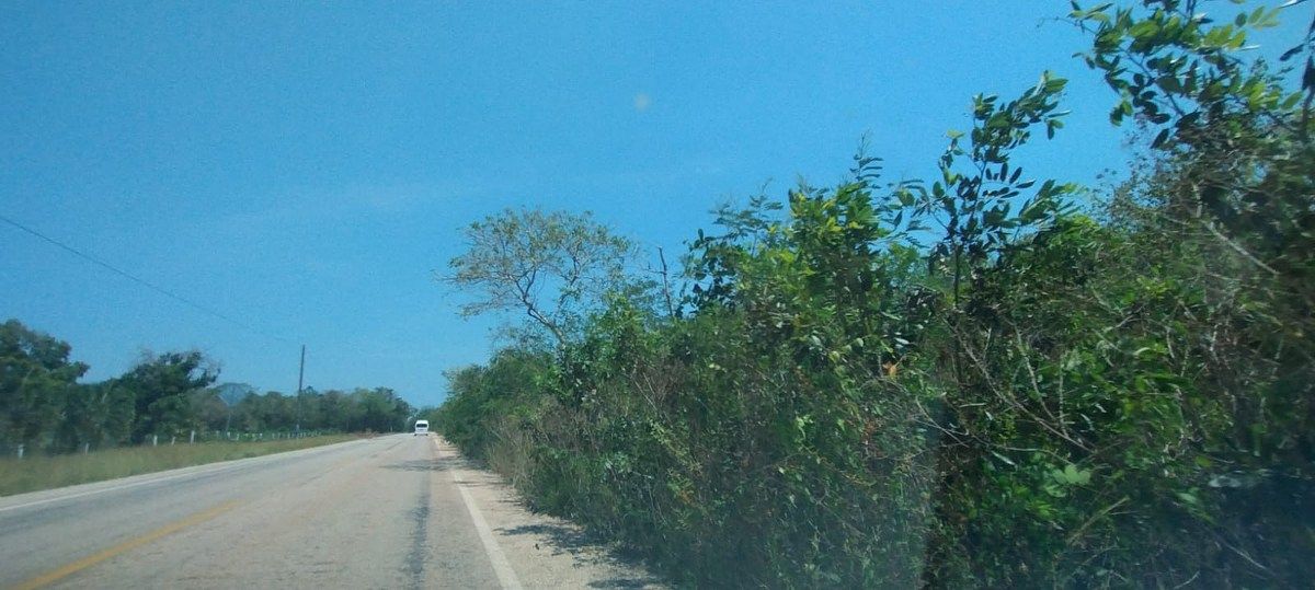 2 de 12