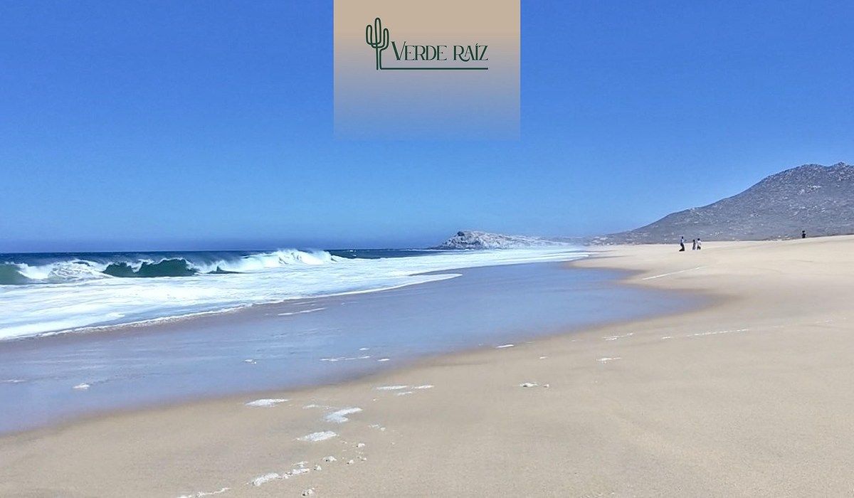 Lote em Migriño, Los Cabos, foto 4 de 5
