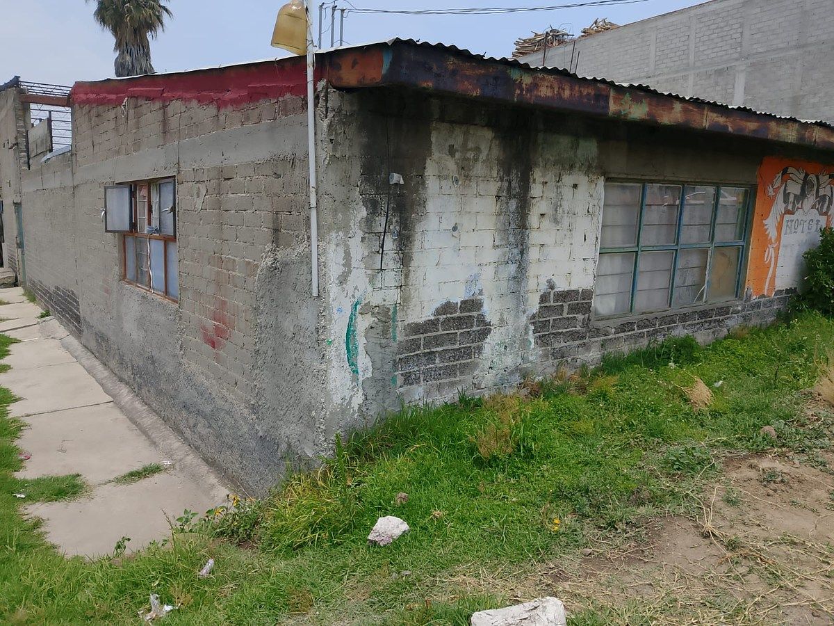 6 de 24