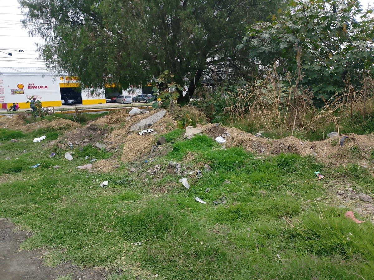 7 de 24