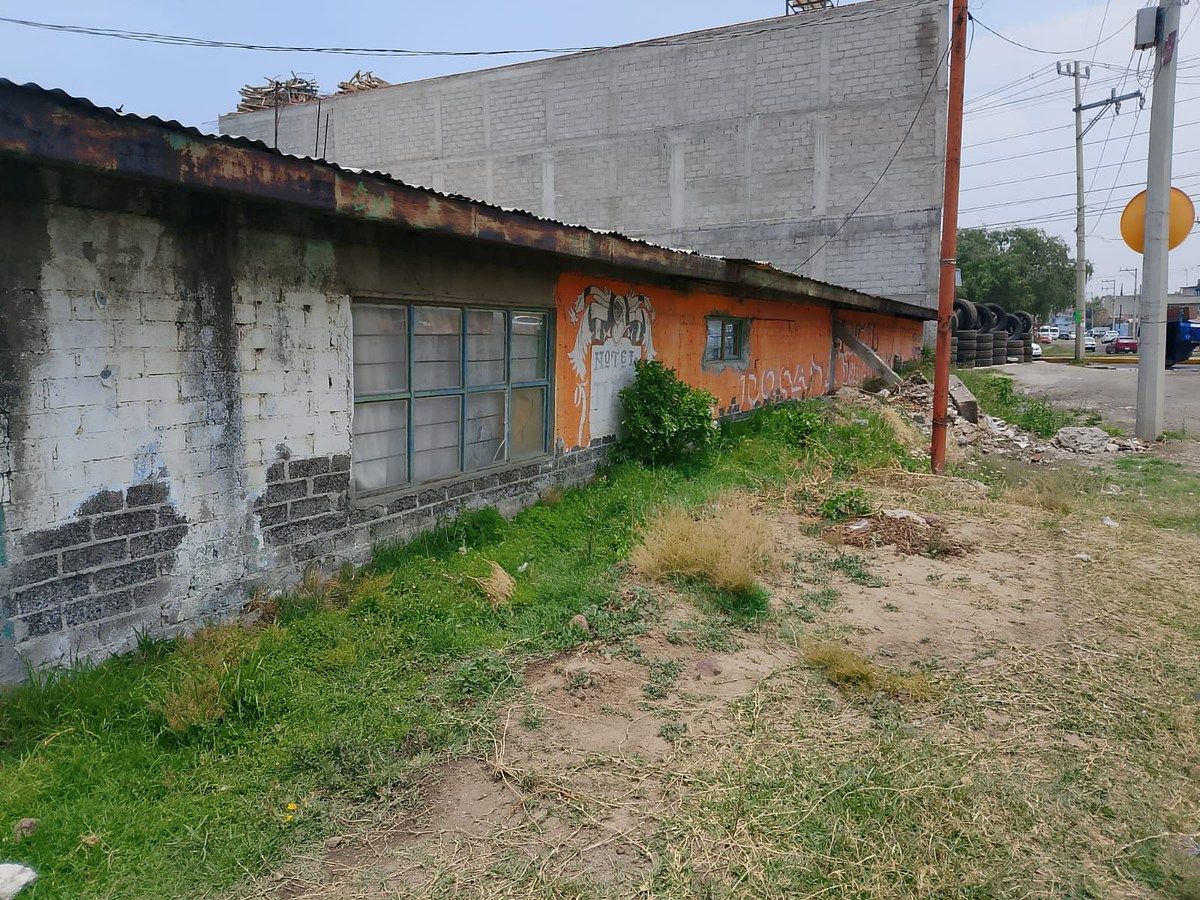 8 de 24