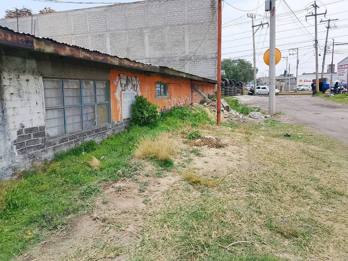 15 de 24