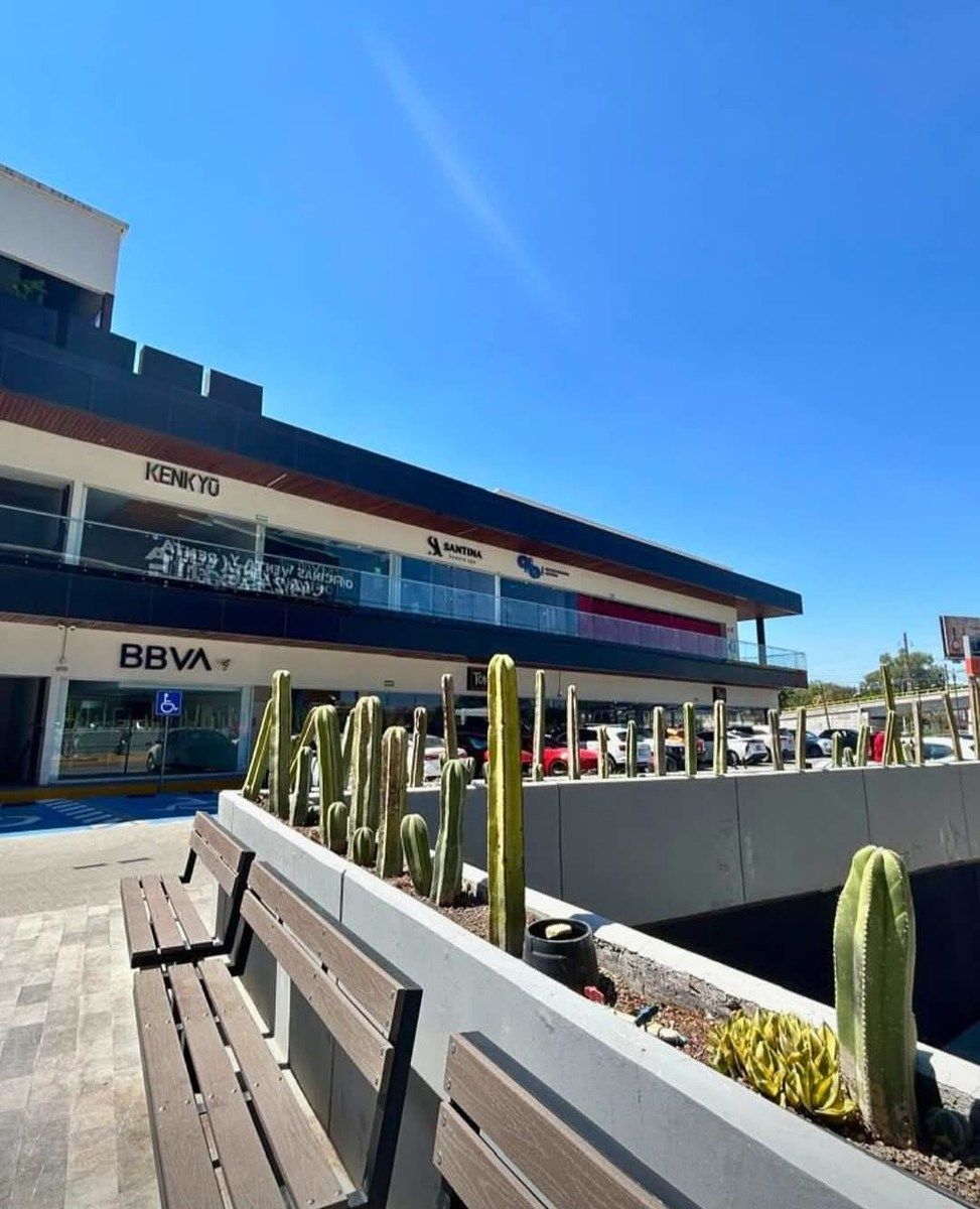 Retail Space in La Piedad, Querétaro, photo 8 of 9