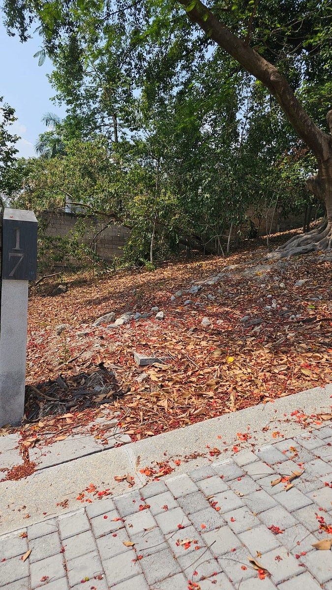 Lote em Acapantzingo, Cuernavaca, foto 2 de 7