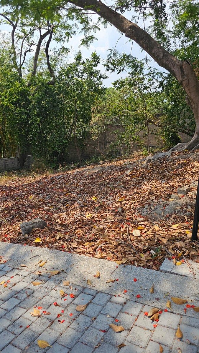 Lote em Acapantzingo, Cuernavaca, foto 4 de 7