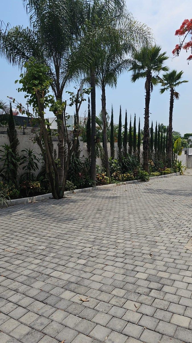 Lote em Acapantzingo, Cuernavaca, foto 6 de 7