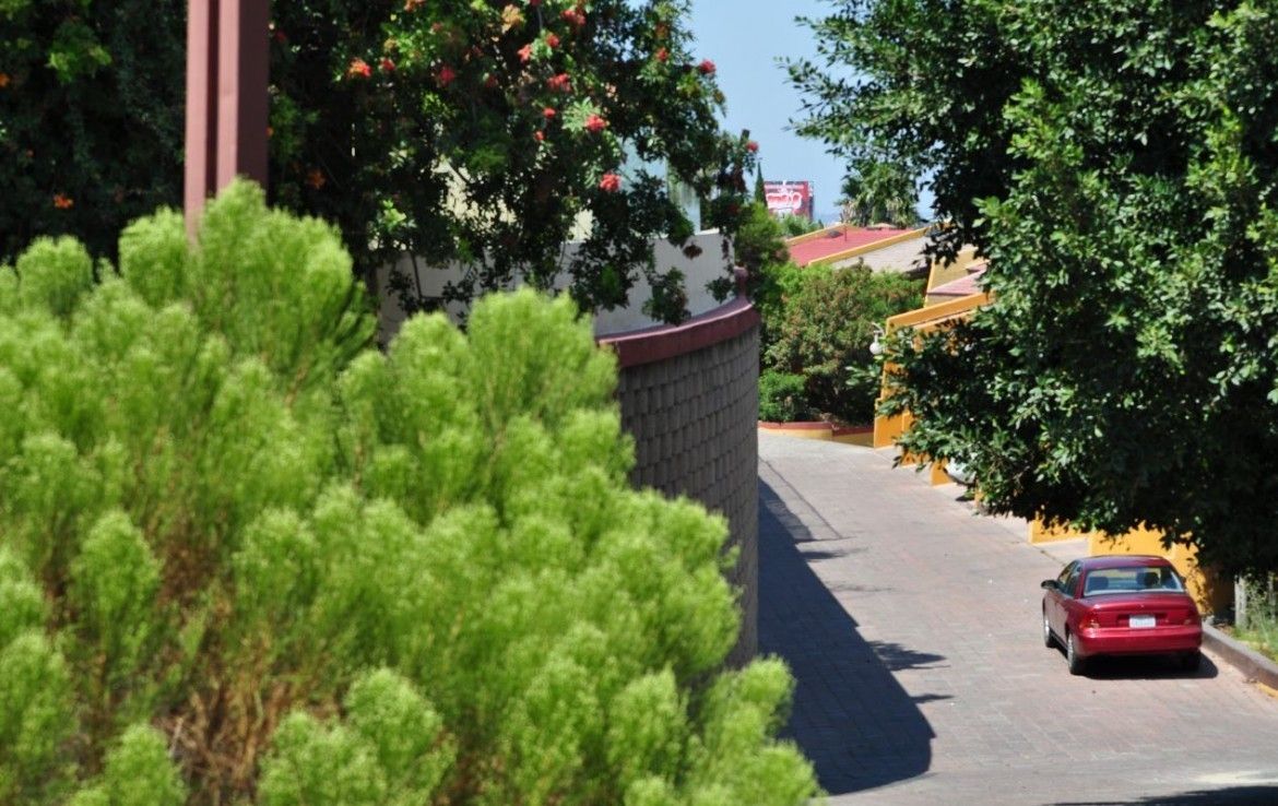 2 de 12: AREA DE ARBOLES