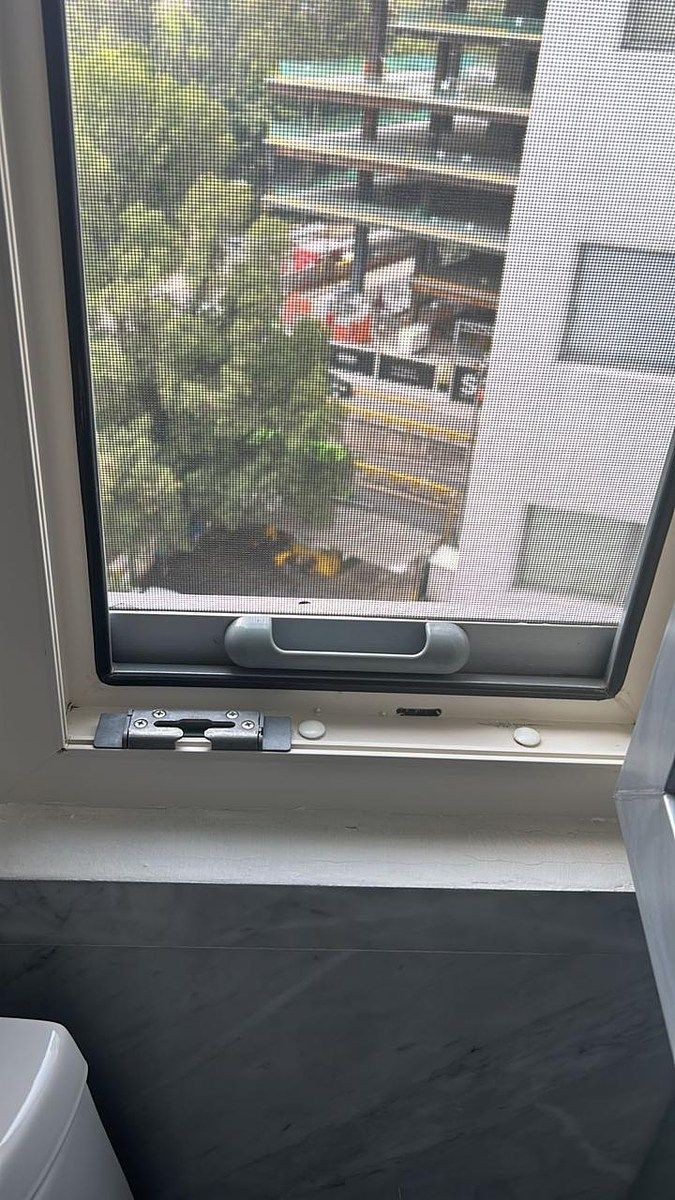 14 de 24