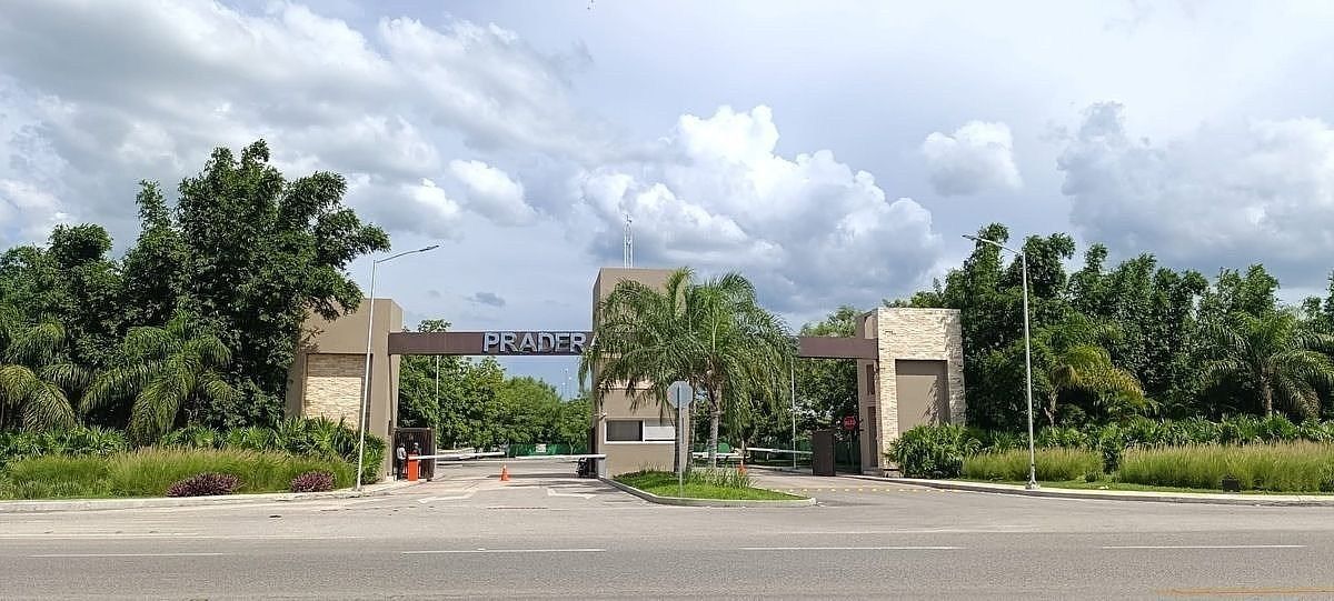 17 de 17