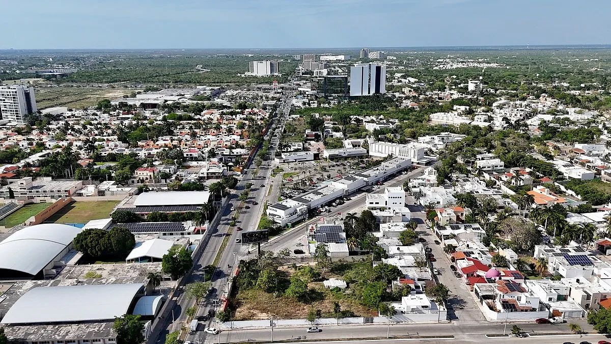 3 de 10