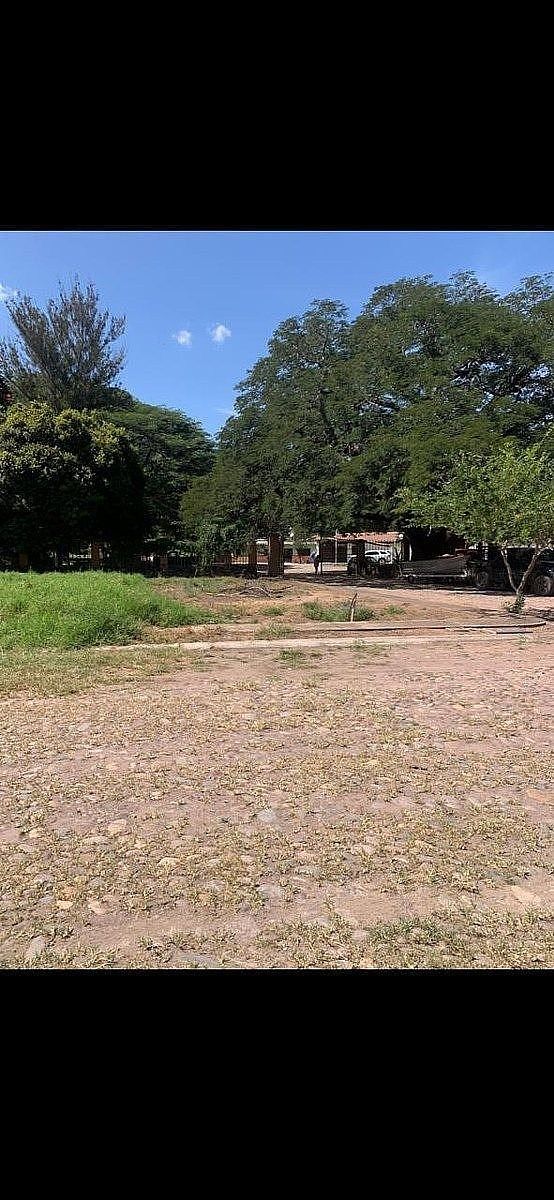 3 de 13