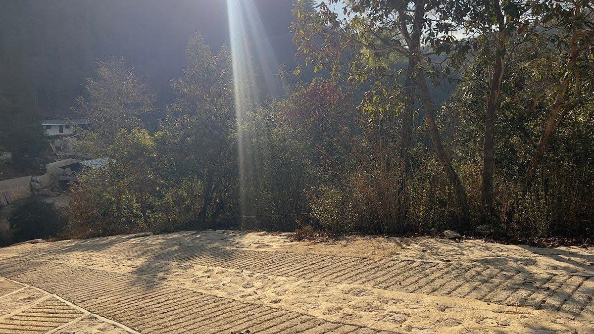 Terreno en Zona Boscosa