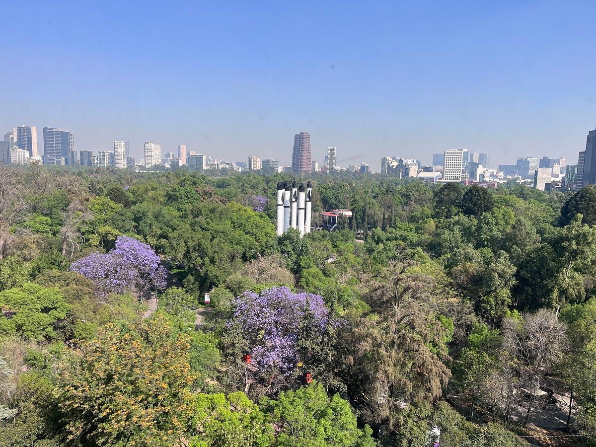 Departamento en venta en San Miguel Chapultepec - foto 1