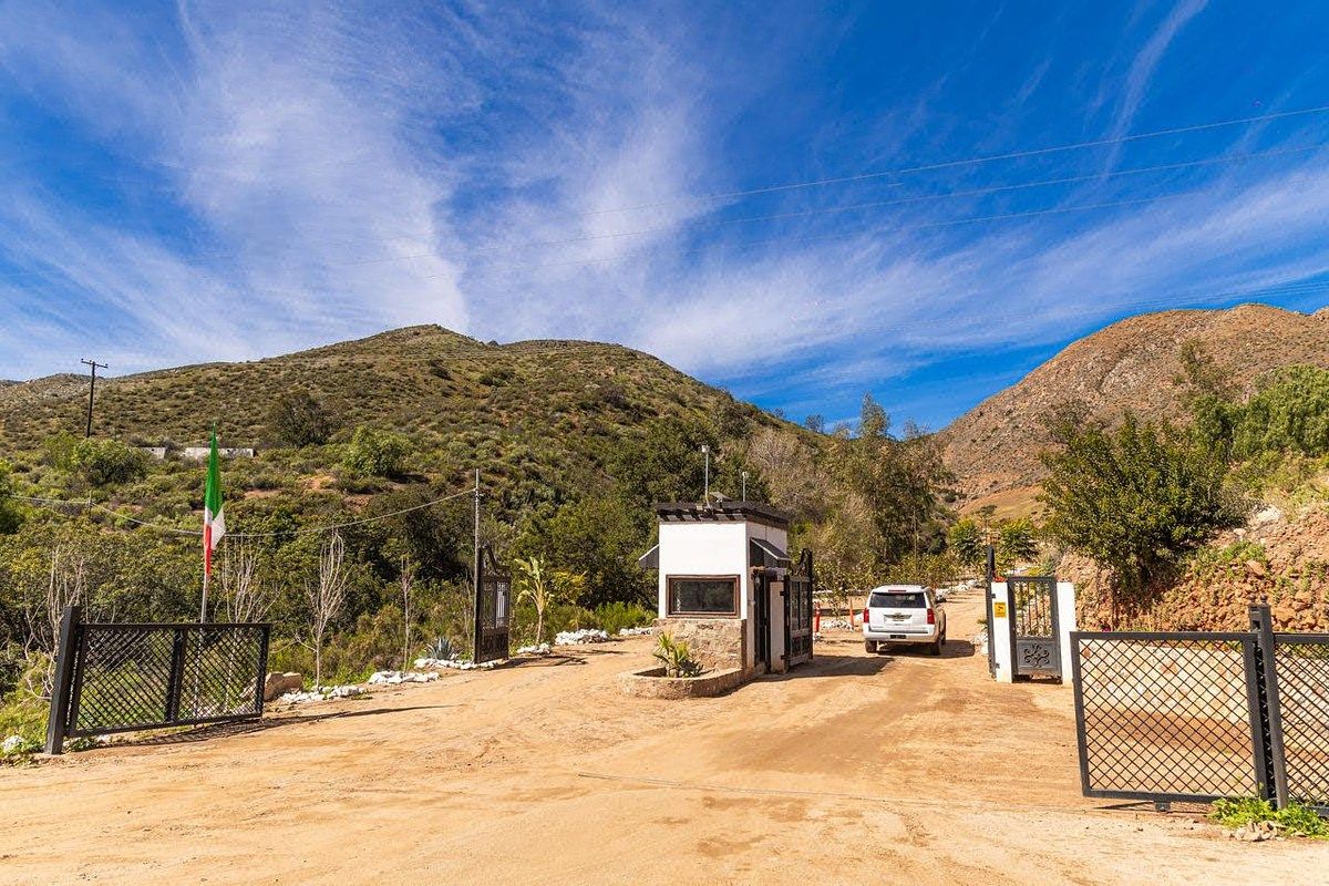 Vives en Ee.uu. y Deseas Invertir en Valle de Guadalupe, ENSENADA!1