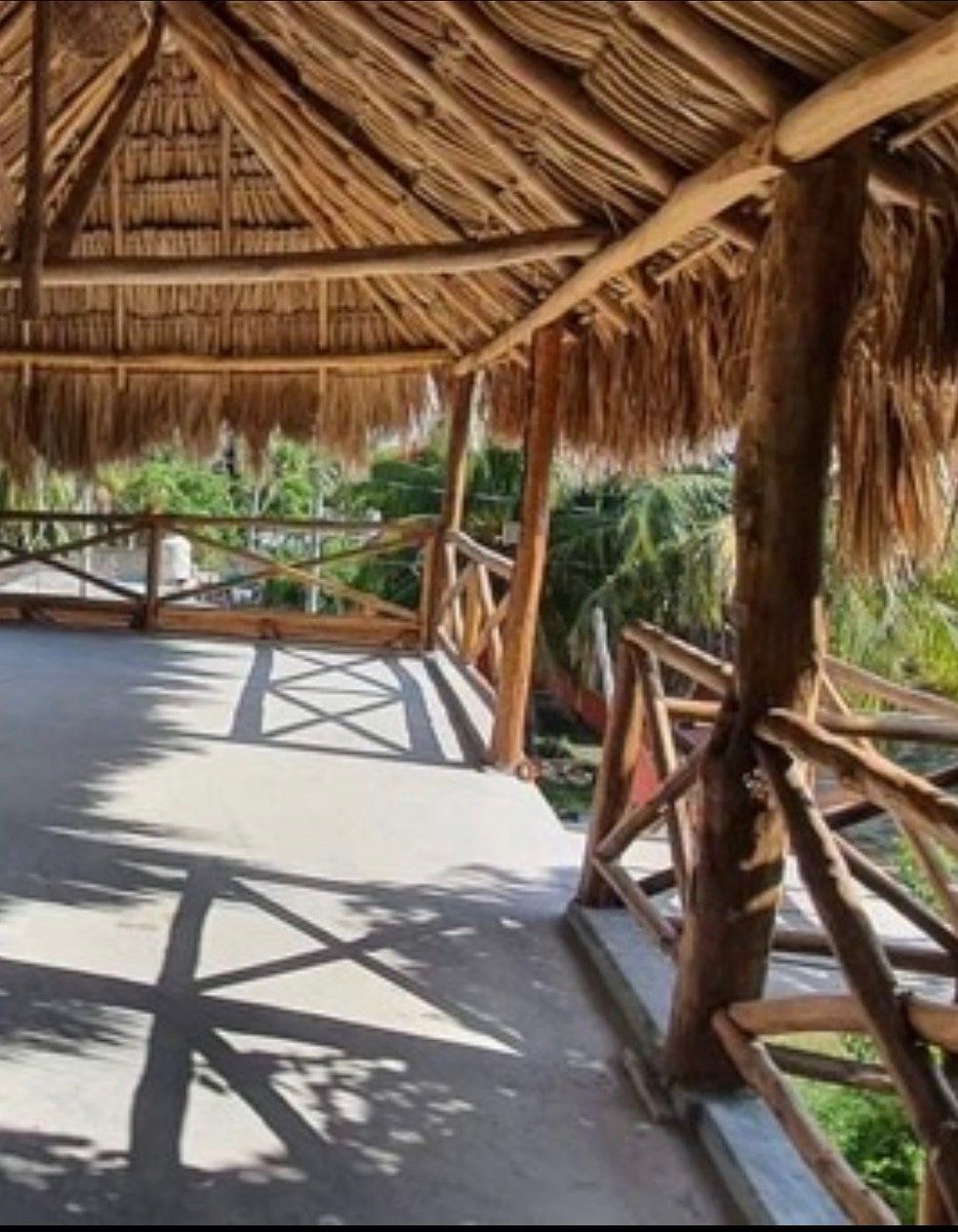 11 de 19: ROOF (estudio 2)