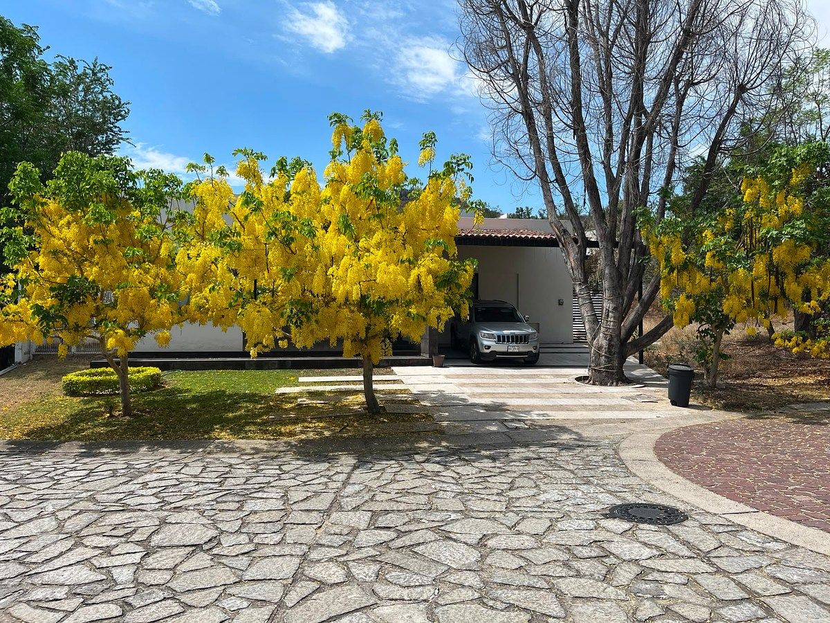 LAS CAÑADAS CASA EN VENTA DE UNA SOLA PLANTA EN COTO ABEDULES, foto 1 de 20