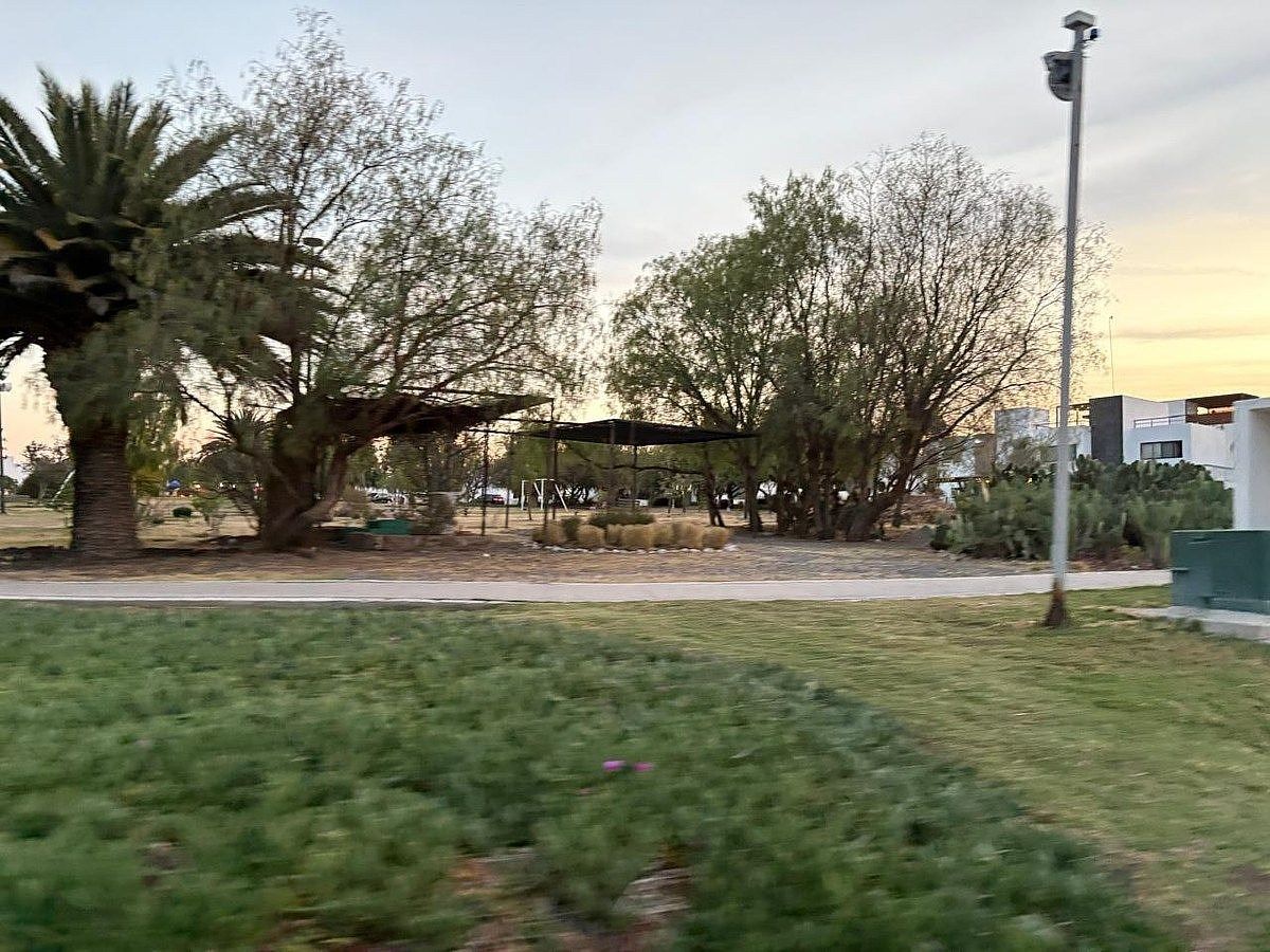 11 de 49