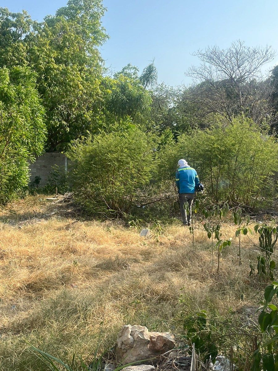 3 de 5