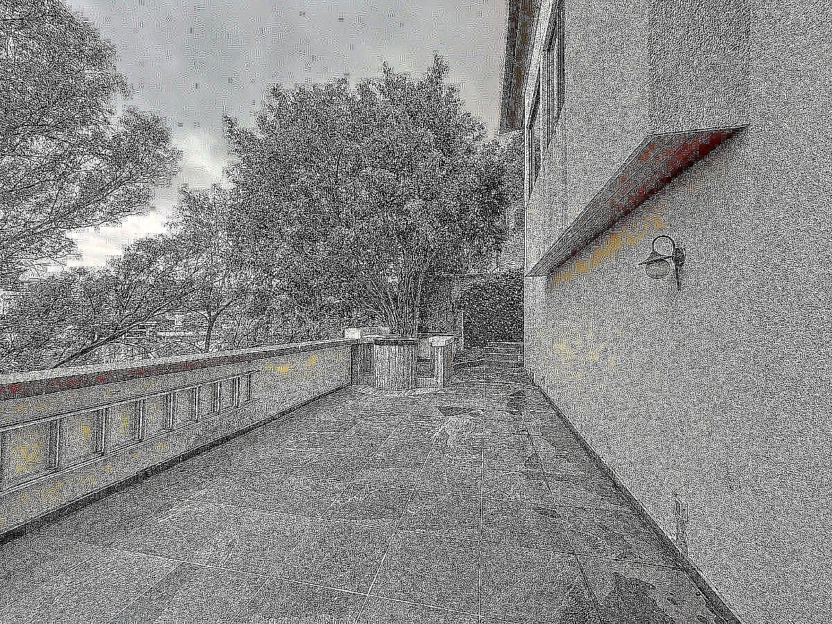 17 de 25