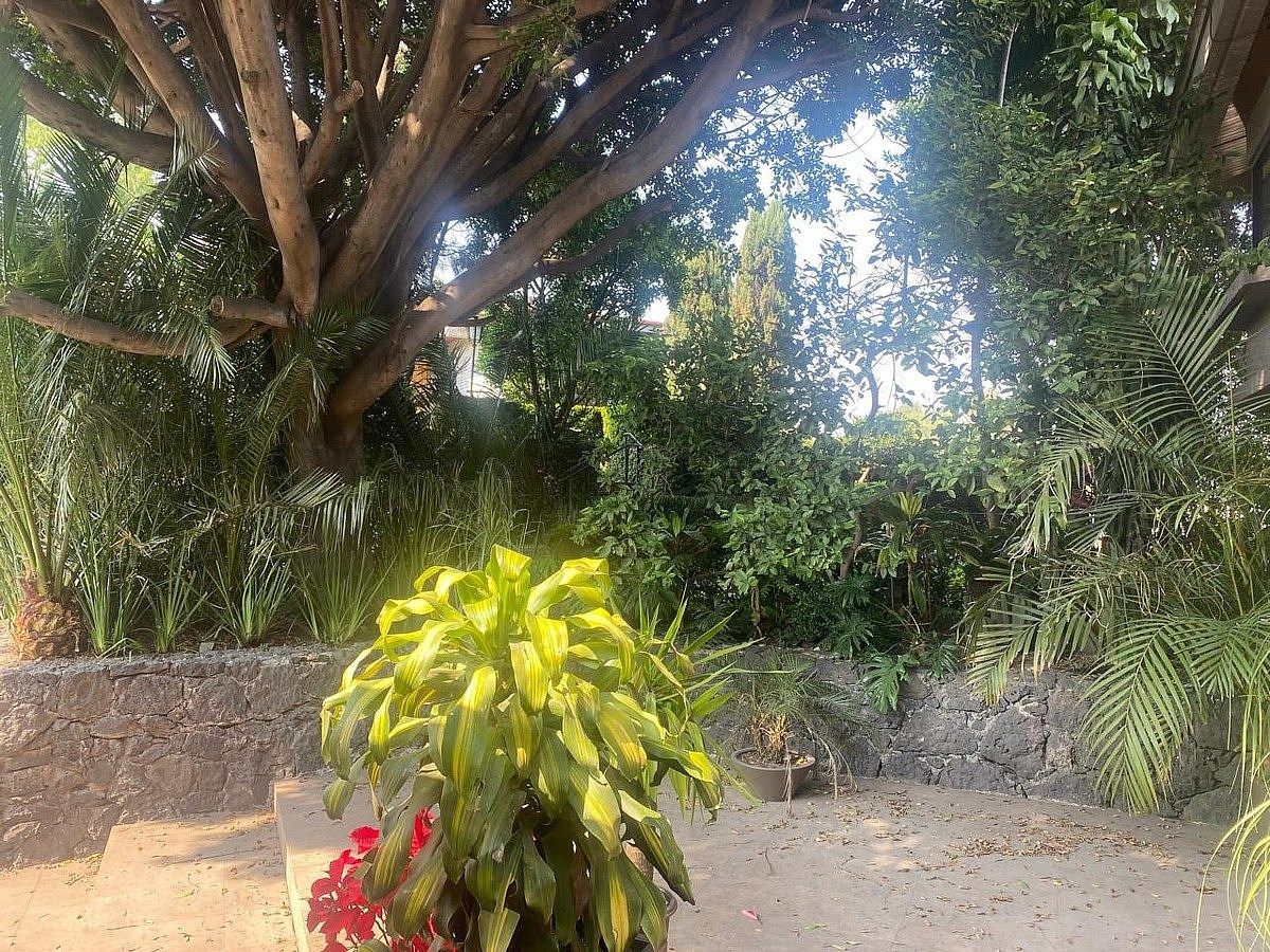 Casa en condominio en Jardines del Pedregal, Álvaro Obregón, foto 43 de 44