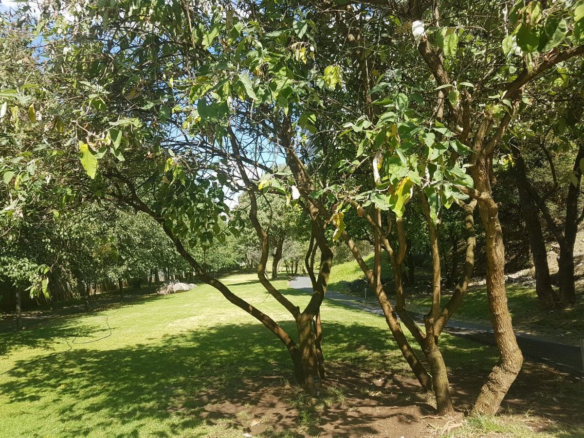 18 de 18: Areas verdes