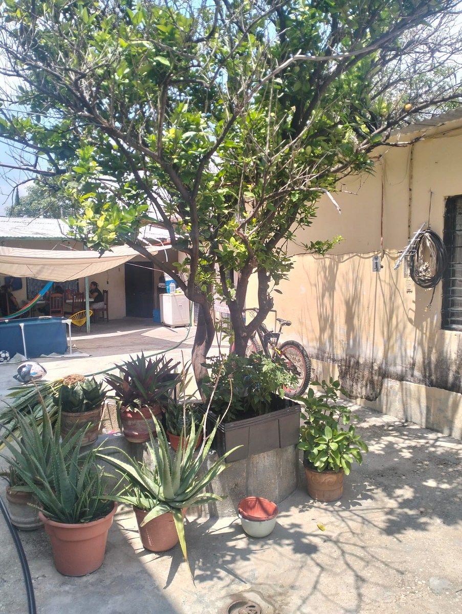 Casa en Plan de Ayala, Tuxtla Gutiérrez, foto 19 de 19