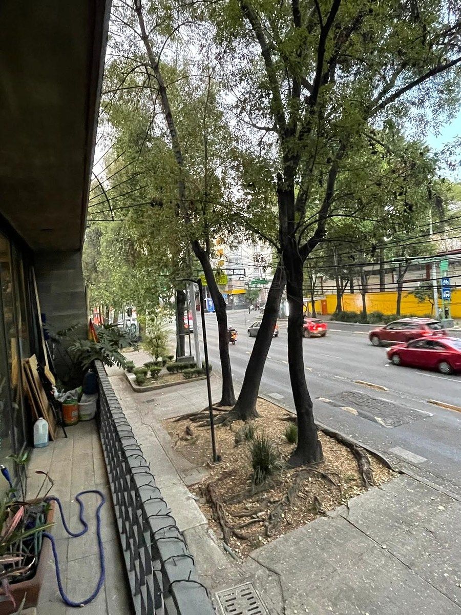 8 de 15