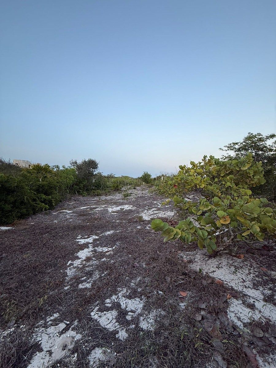 Terreno en Venta en la Playa en el Kilómetro 23 en San Benito, Yucatán - foto 2