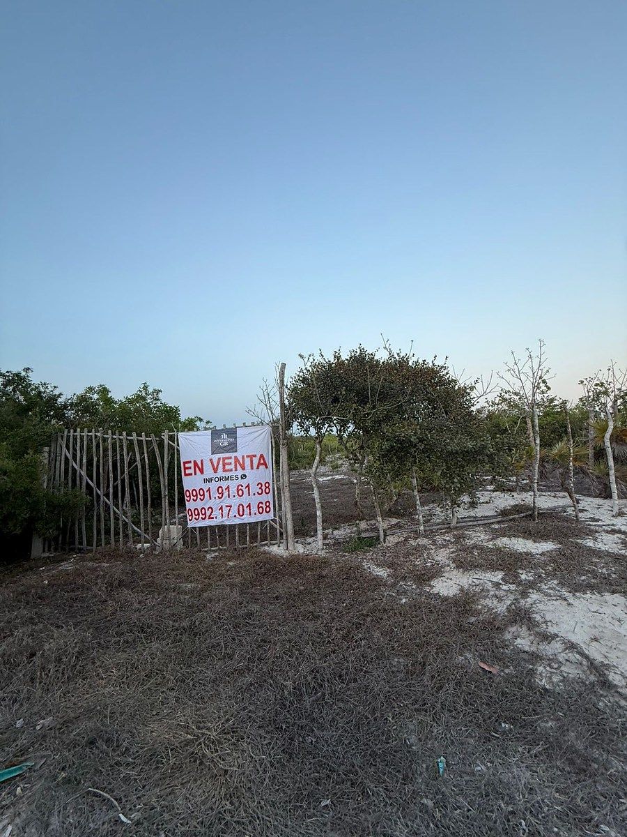 Terreno en Venta en la Playa en el Kilómetro 23 en San Benito, Yucatán - foto 4