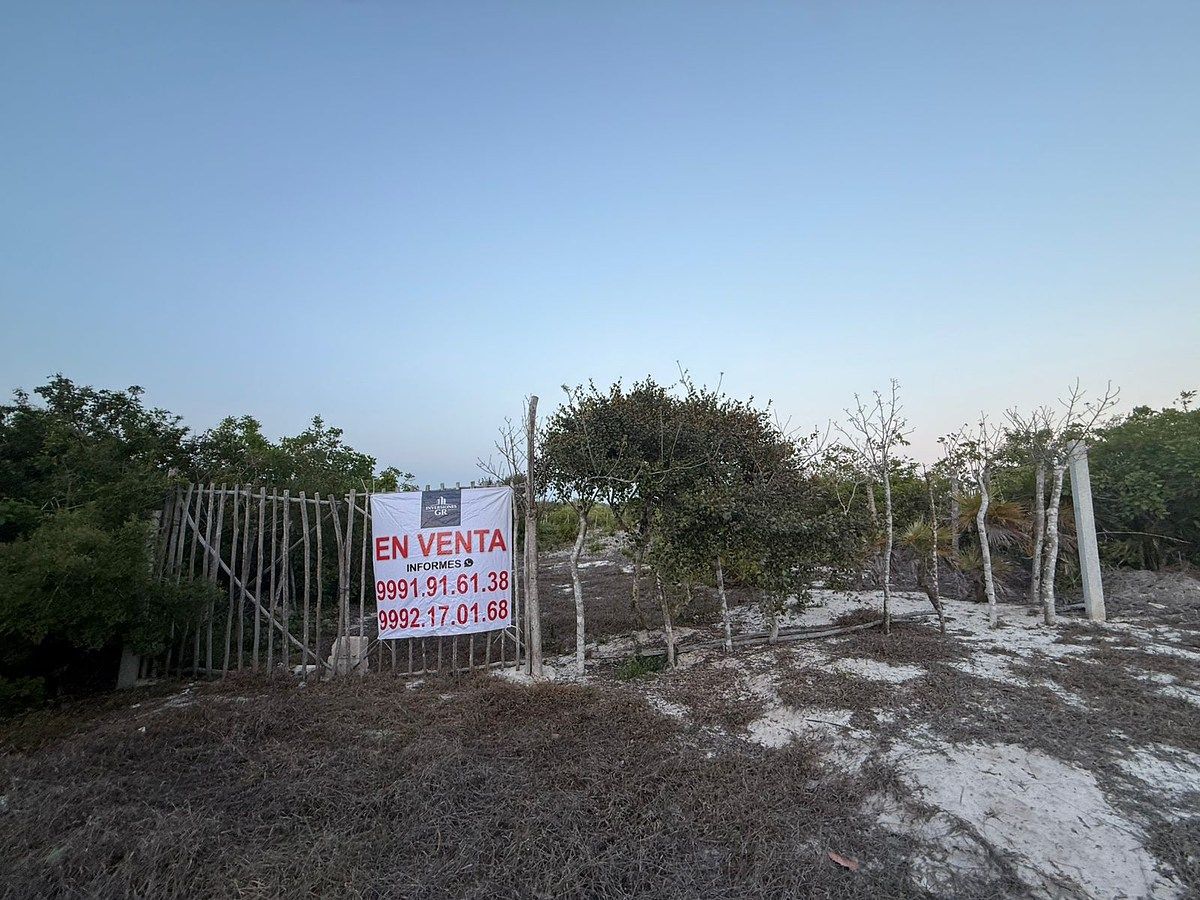 Terreno en Venta en la Playa en el Kilómetro 23 en San Benito, Yucatán - foto 5