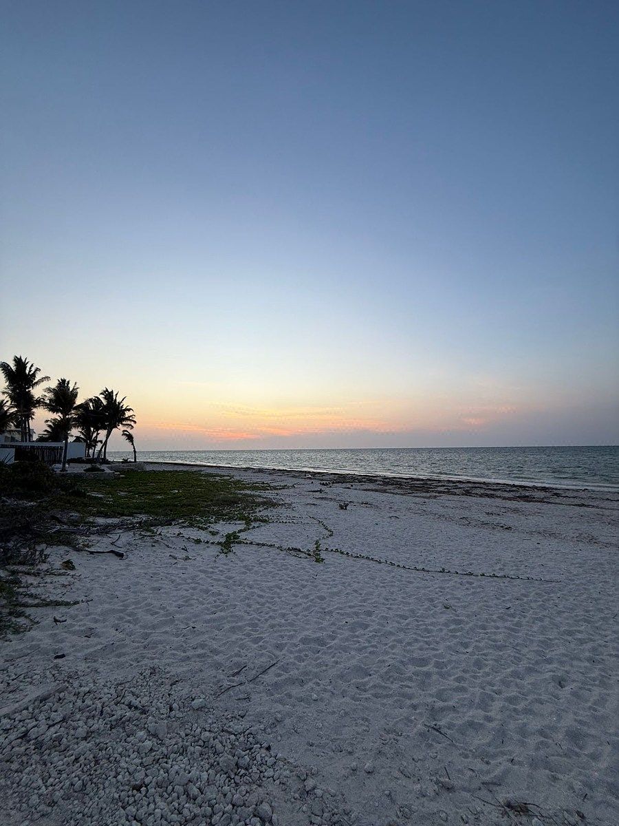 Terreno en Venta en la Playa en el Kilómetro 23 en San Benito, Yucatán