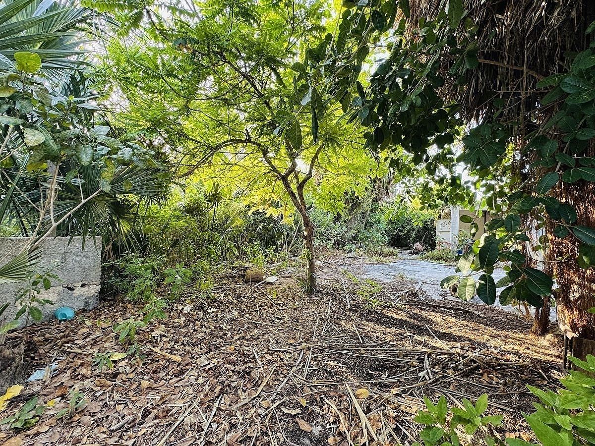 CASA DE UNA PLANTA EN PUERTO PROGRESO MÉRIDA YUCATÁN, CON GRAN UBICACIÓN - foto 5