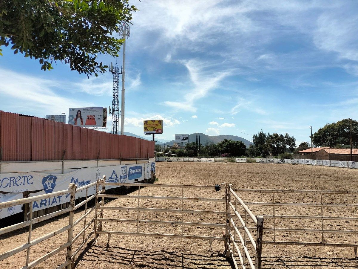 14 de 16