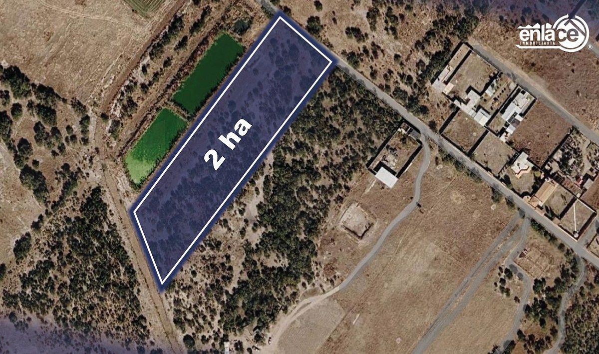 Terreno en venta Colonia Hidalgo