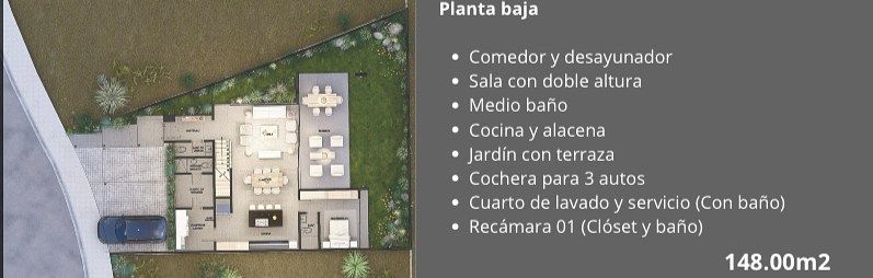11 de 12