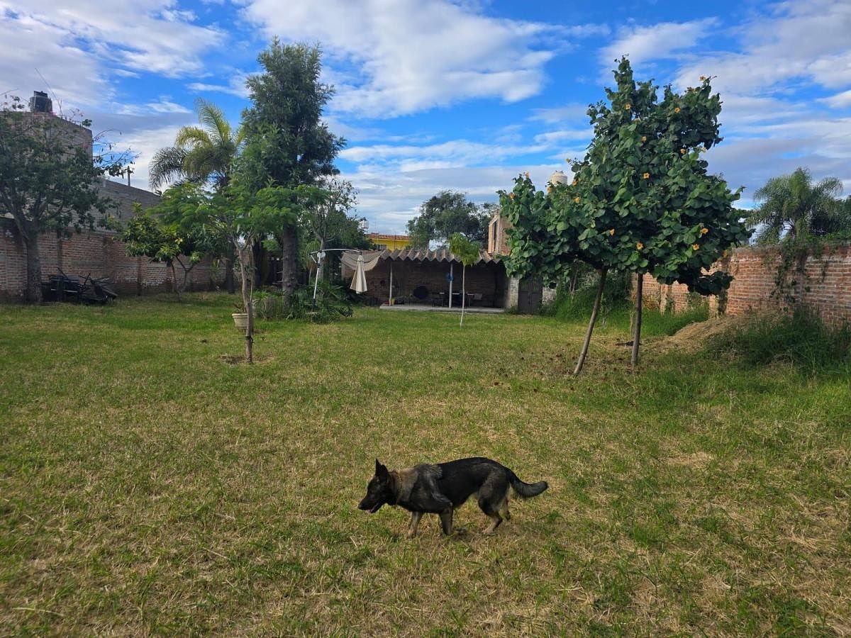 TERRENO EN VENTA SANTA CRUZ DEL VALLE EN TLAJOMULCO. - foto 5