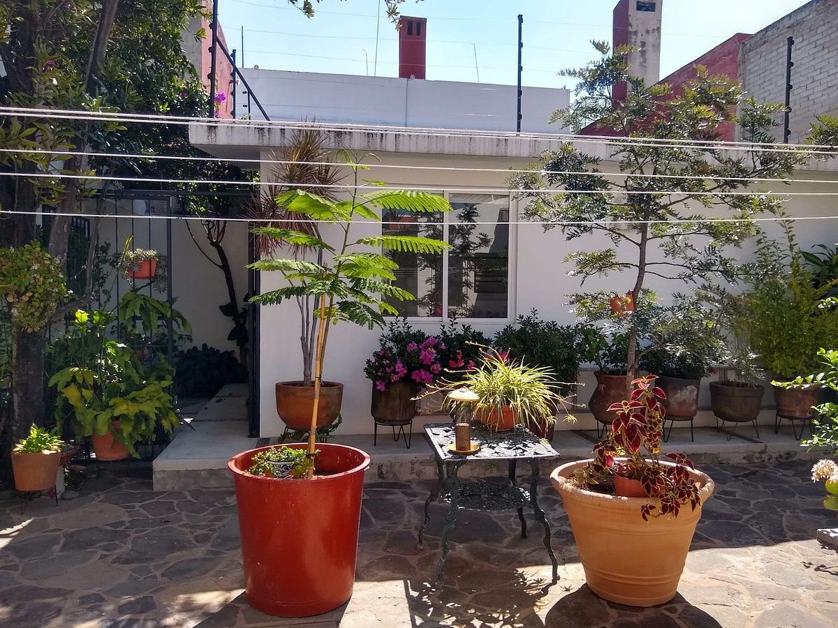 10 de 26