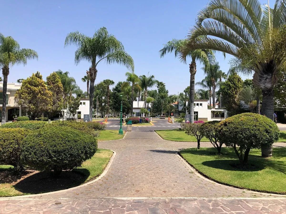 36 de 36