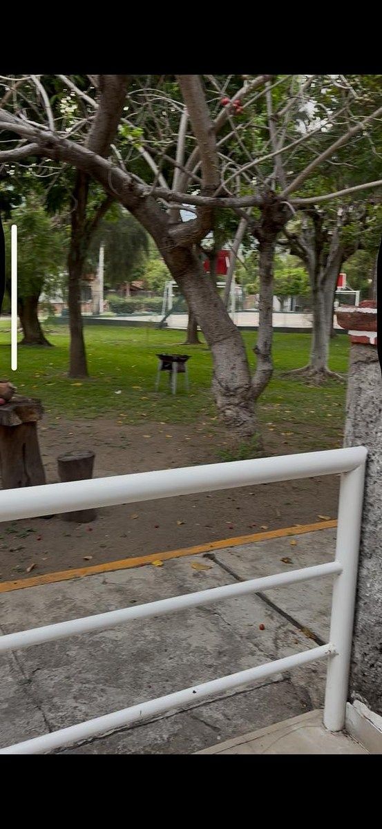 12 de 19