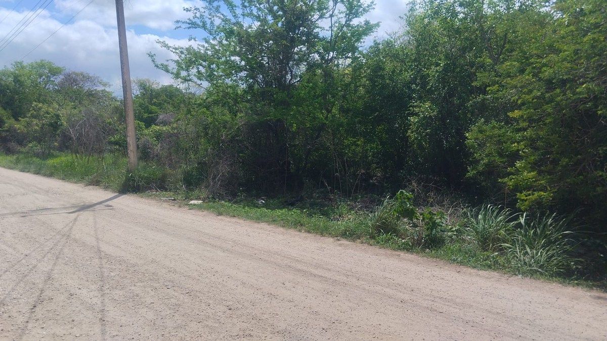 Land for Sale in Umán, 1,345 m² Ideal for a Country House or Residential Development