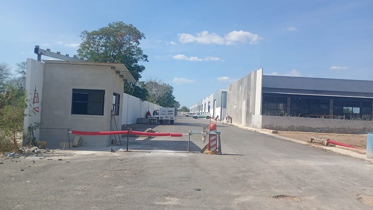 8 de 10
