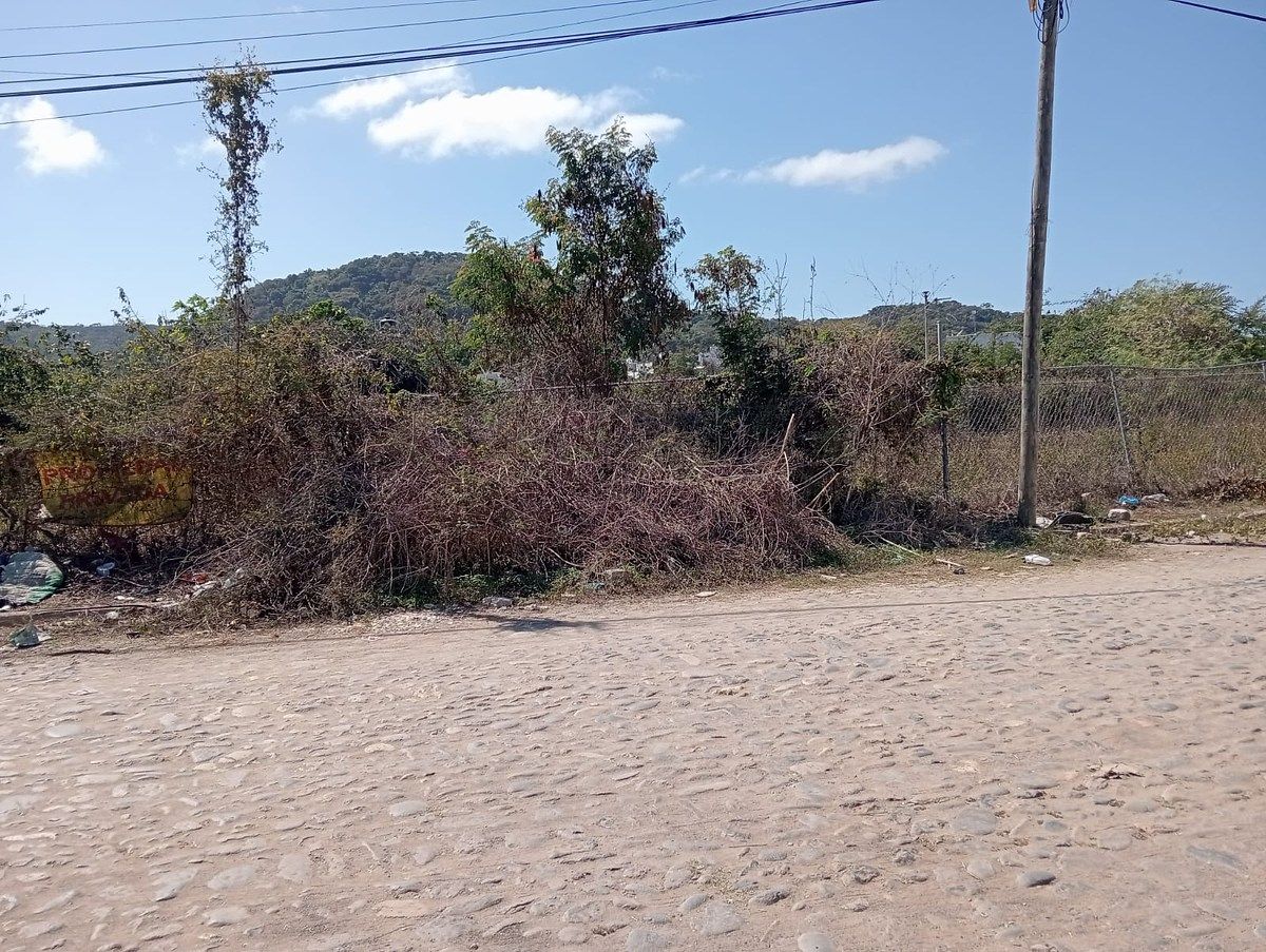 TERRENO EN VENTA EN RINCON DE GUAYABITOS - foto 2