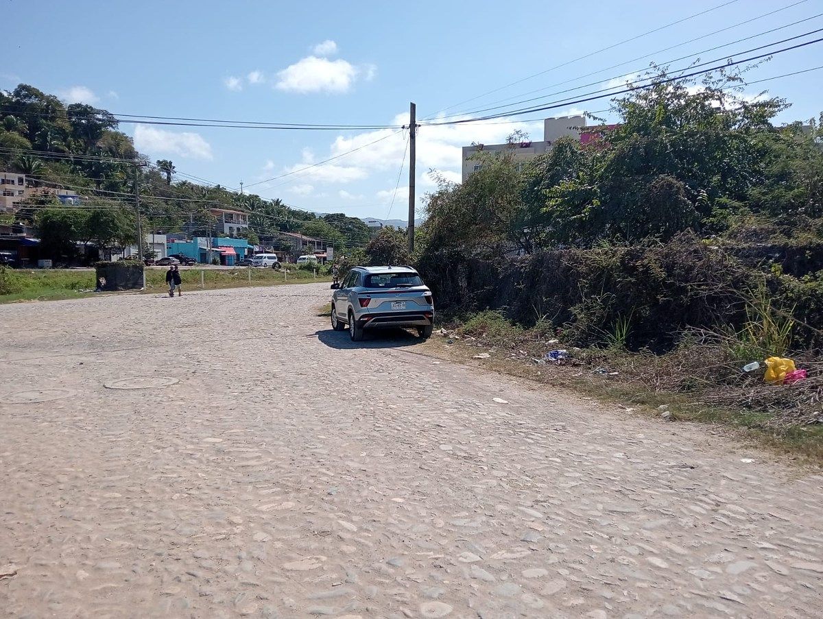 TERRENO EN VENTA EN RINCON DE GUAYABITOS - foto 5