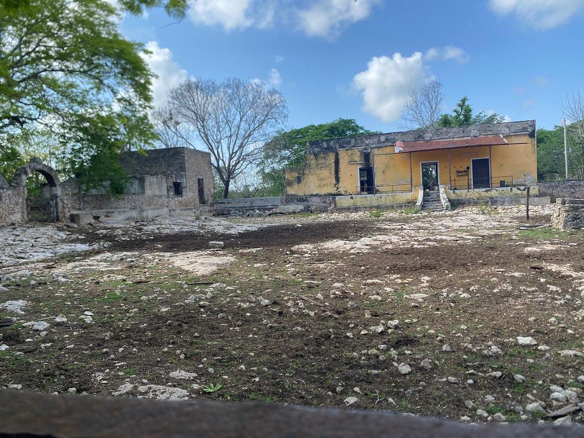 3 de 12