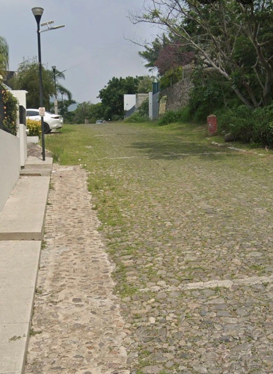 6 de 14