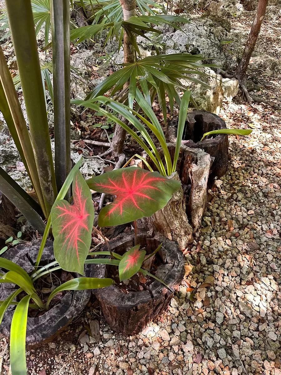 1 de 4